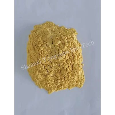 Natural Sea Buckthorn Extract Powder Sea Buckthorn Powder