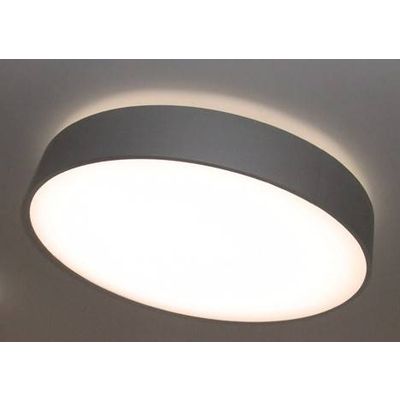 Round Ceiling Mounted Led Panel Light Leds Lux Opto Illumination