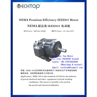 Txc Ieee Three Phase Motor Petrochem Motor Nema Premium Efficiency