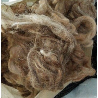 Chinese sheep wool for carpet