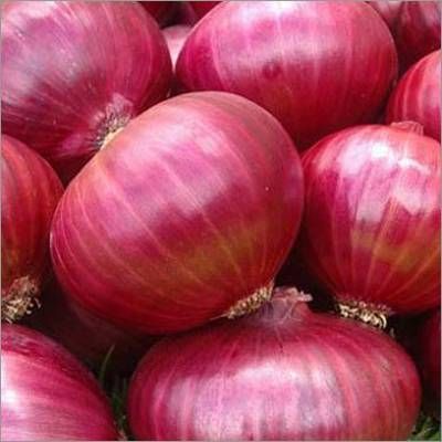 Red Onions for sale