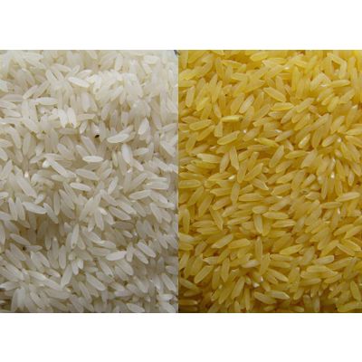 basmati rice for exporty