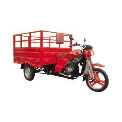 Trash cargo tricycle TW150ZH-A, with high side height