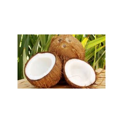 Fresh Coconut for sale
