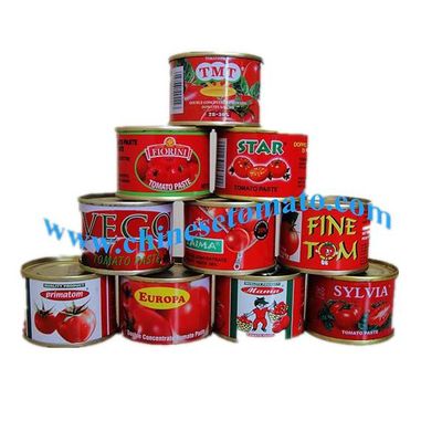 Tomato paste double concentrate manufacturer