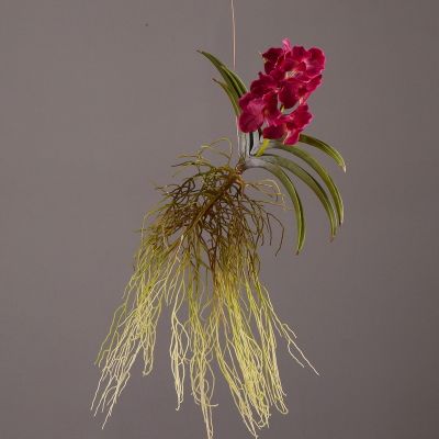 Sell 91cm Artificial Lifelike Vanda Orchid with Leaf & Roots