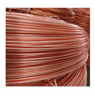 Copper Wire Rod 8 mm and 10 mm