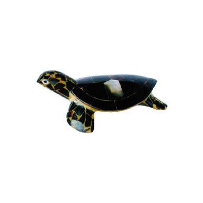 Sell turtle crafts shell