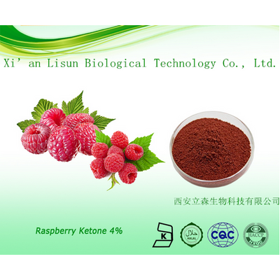 Raspberry Extract Fructus Rubi Extract Raspberry Ketone