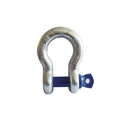 Shackle / Screw Pin Anchor Shackle