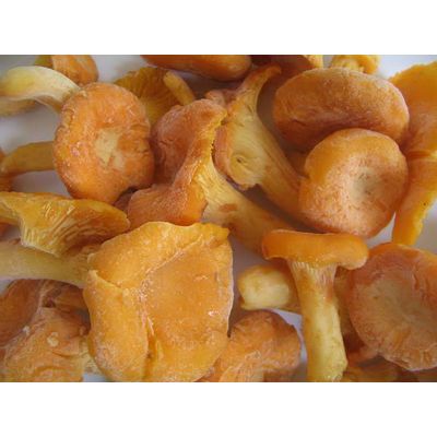 offer factory wild mushrooms,kidney beans,nuts,kernels,agriculture foods