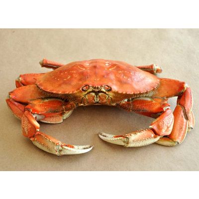 Live Crab, Frozen Crab, Frozen King Crabs, Frozen Crab Legs