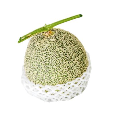 EPE Foam Fruit Net for Papaya/Melon Cover Protective Packaging