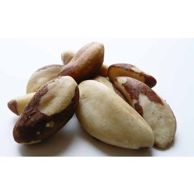Cheap Organic Brazil Nuts
