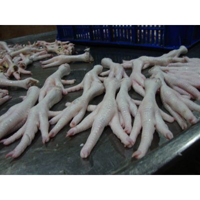 Buy Chicken Feet and Paw