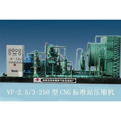 Natural Gas Compressor(CNG Filling Station)