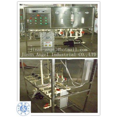 0.5T/H EDI ultrapure water treatment system