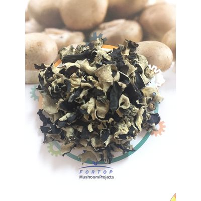 Washed Dried White Back Black Fungus Dices 2CM2CM