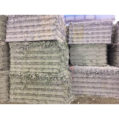 Sell waste paper Sorted office paper (SOP) 500MT/month