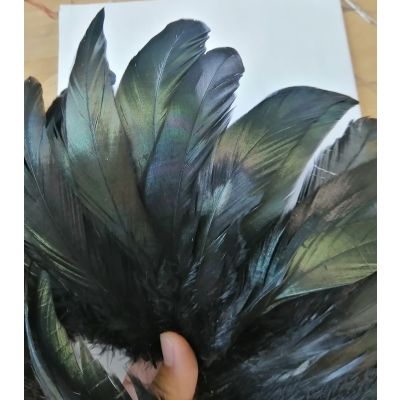 Black rooster tail /coque tail feather