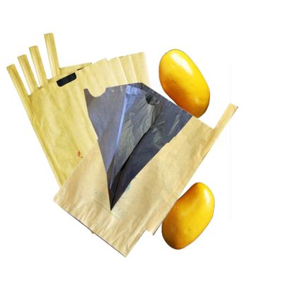 Selling Fruit Bag Mango Wax Coated Fruit Protection Bags