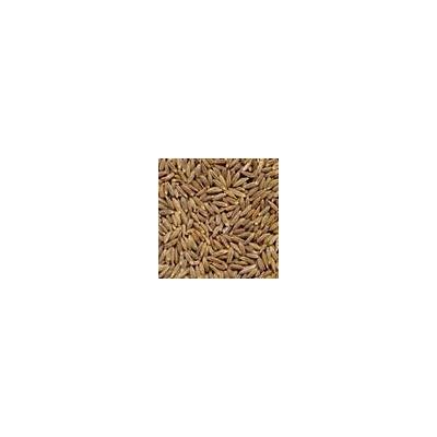 cumin seed from Md exports,India