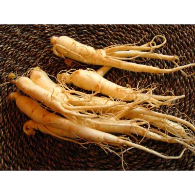 Ginseng Root extract