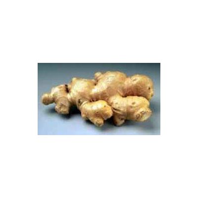 hot potent spicy indonesia fresh ginger