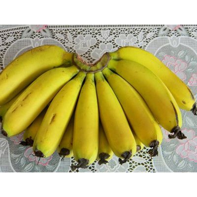 Fresh Laba Banana