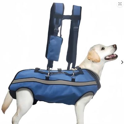 Large Dog Lift Harness with Dual-Shoulder Straps