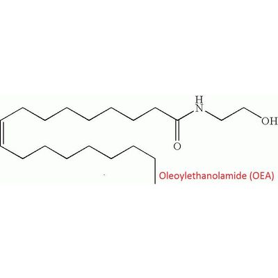 Oleoylethanolamide (OEA)
