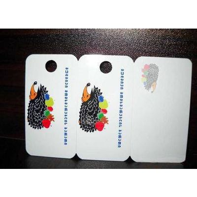 PVC Cards /PVC Abnormal Shape Cards