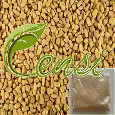 Fenugreek Seed Extract (4-Hydroxyisoleucine) (CAS No. 55399-93-4)
