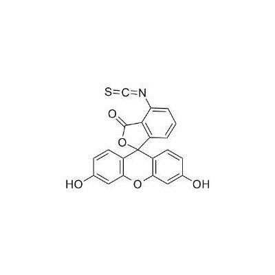 Fitc Fluorescein Isothiocyanate