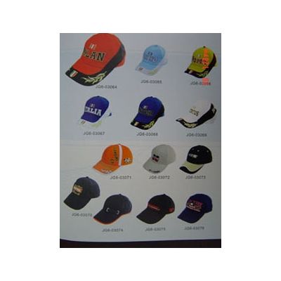 sports caps ,flexfit caps and knitting hats