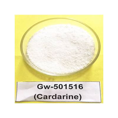 GW-501516 Powder Sarms Powder GW1516 Endurobol Cardarine ultimate endurance enhancing supplement