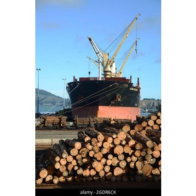 Bulk vessels for wood logs