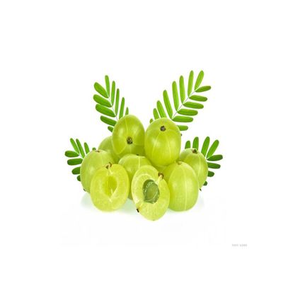 Phyllanthus emblica Extract, Amla Extract, Water-soluble Emblica Extract, Alma fruit Powder, natural