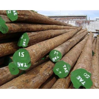 Greenheart  Lumber & Marine Pilings 30'-75'