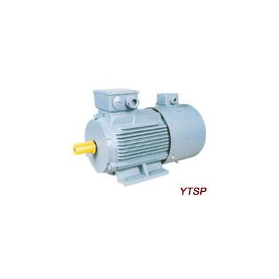 YTSP Series Adjustable speed Three-Phase Induction Motors