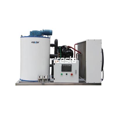 ICESTA Small Range 0.5T-3T Flake Ice Machines with Cheap Price