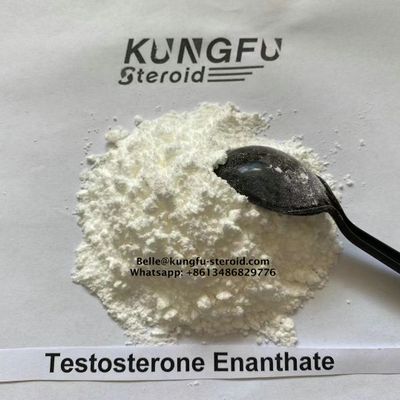 Testosterone Enanthate CAS:315-37-7 Test E Raw Steroid Powder