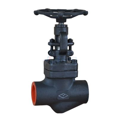 API602 Forged steel Globe valve 800#    china valves manufacturers    globe valve definition   