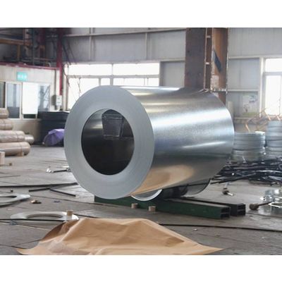 offer hot-dipped galvanized steel coil/plate gi