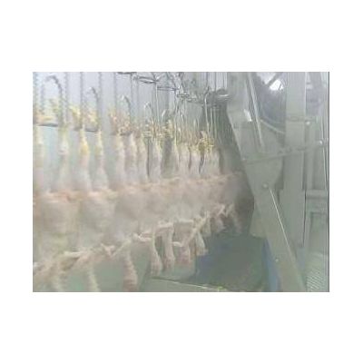 Duck Slaughter and Abattoir Equipment and Machine