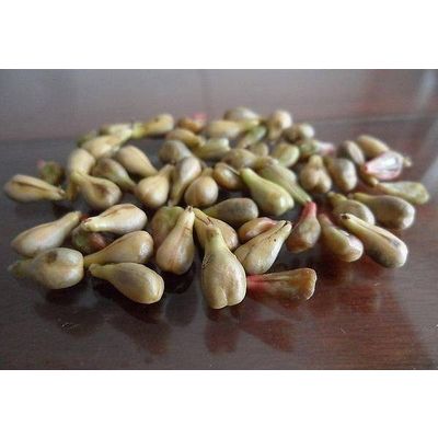 Non-fermented Grape Seed