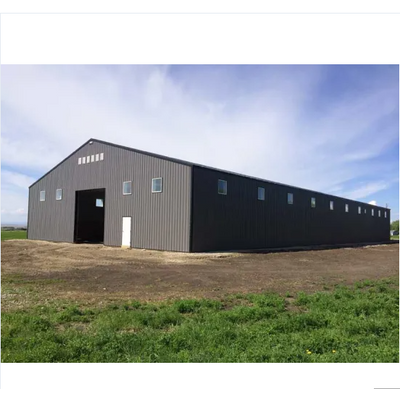 Galvanized Building Steel Structure with 100mm Rock Wool Sandwich Panel (KXD-SSB107)