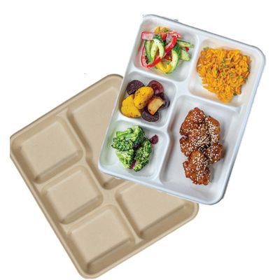 Heavy Duty 5 Compartment Foam Disposable Plates for School Meal Serving
