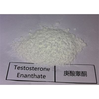 CAS 315-37-7 Testosterone Enanthate Raw Steroid Powders Test Enanthate Results for Muscle Building