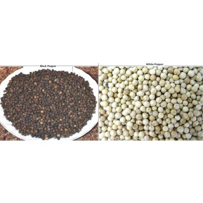 Buy Inquiry For Kernels and Black Pepper Corn
